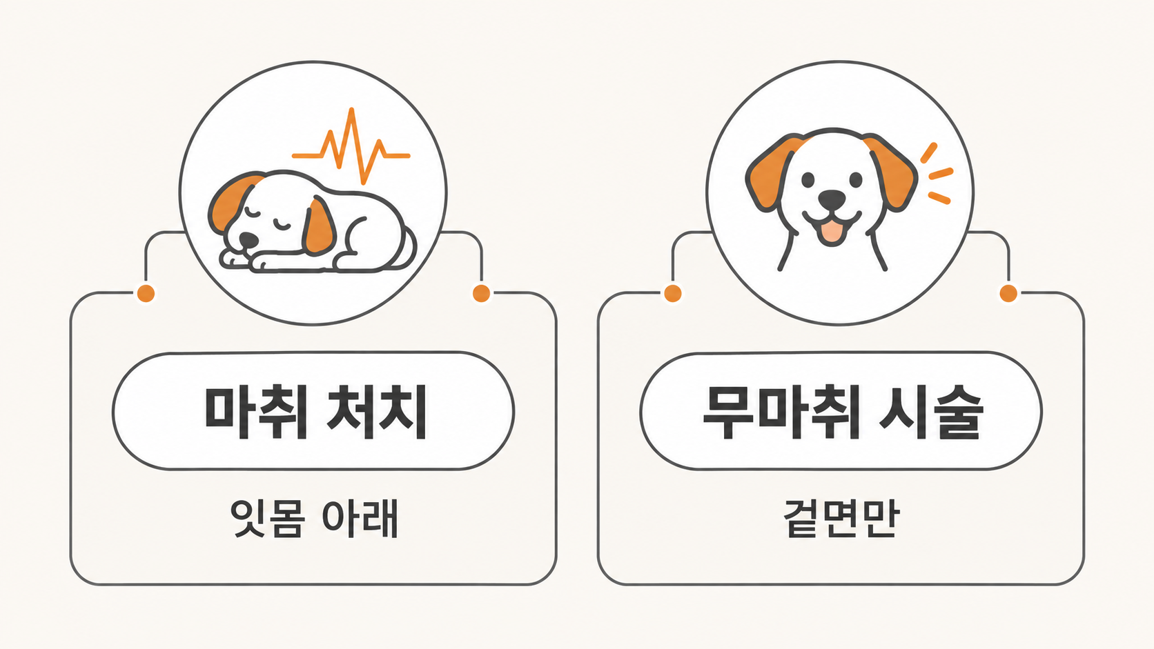 마취 여부 비교 카드