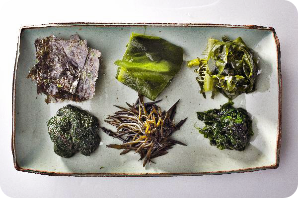 갑상선-기능-저하증-증상