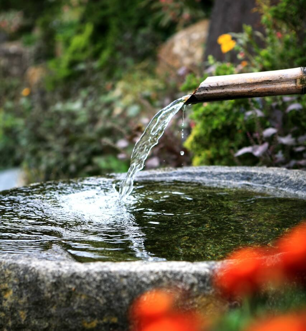 자연이 준 선물? 산 약수물, 정말 마셔도 괜찮을까?3