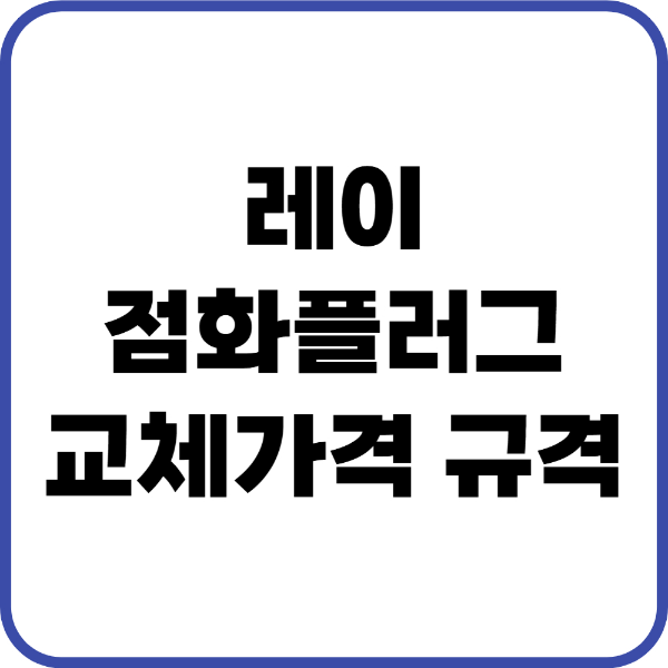 레이 점화플러그