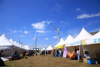  제주 유채꽃 &amp; 삼다수 축제