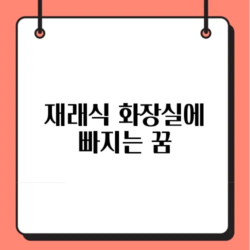 재래식 화장실에 빠지는 꿈