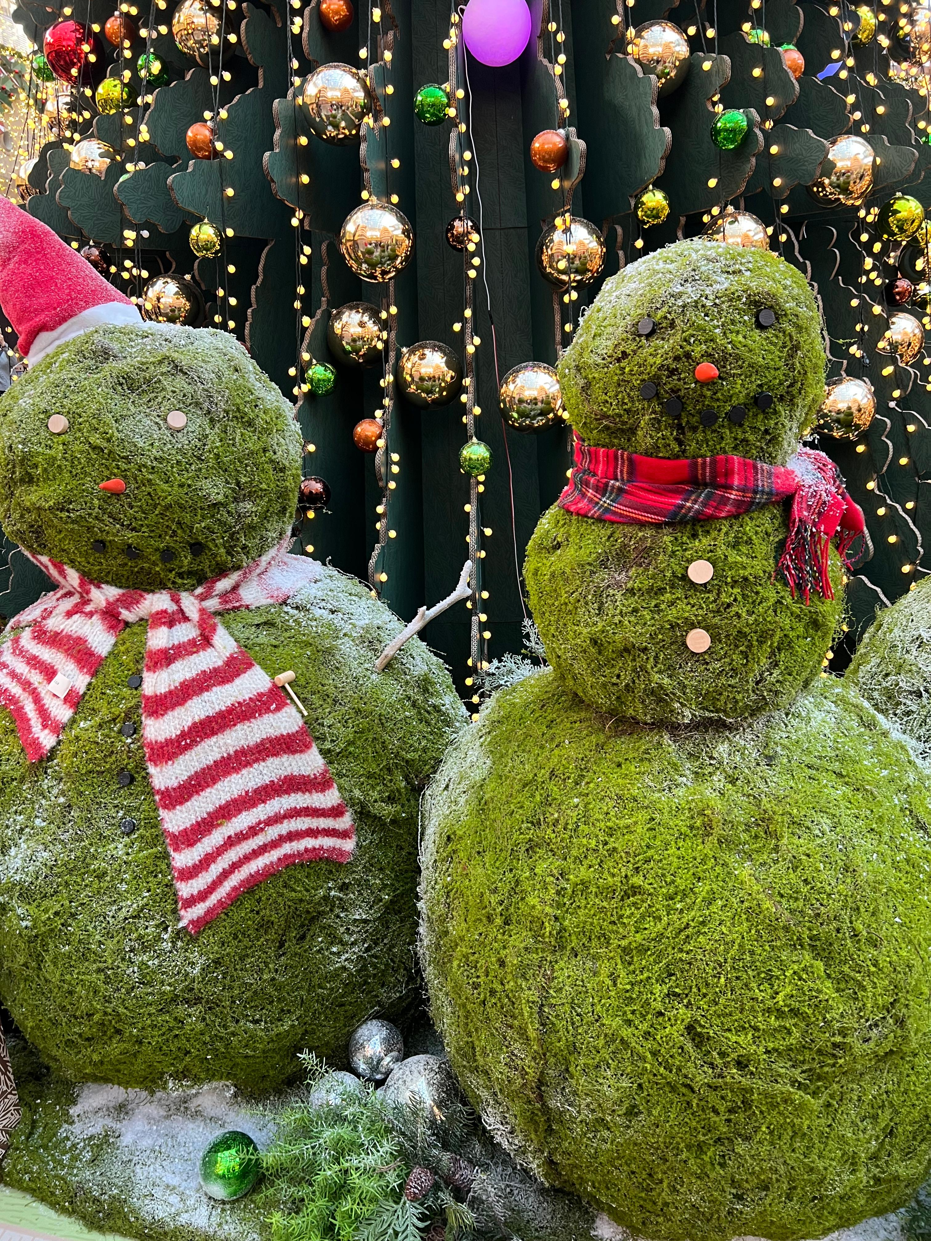 별마당도서관 초록 이끼눈사람