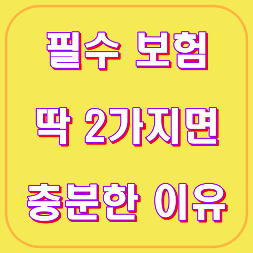 필수 보험 딱 2가지면 충분한 이유
