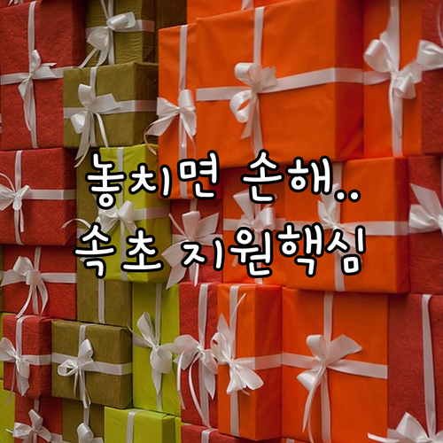 강원 속초시 2025 마을 특화작물 ..