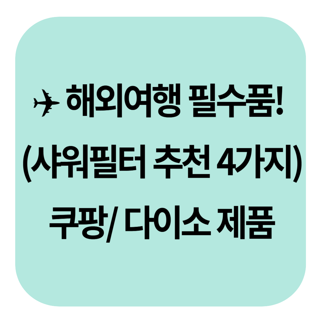 해외여행 필수품! 샤워필터 추천 4가지, 쿠팡 다이소 제품