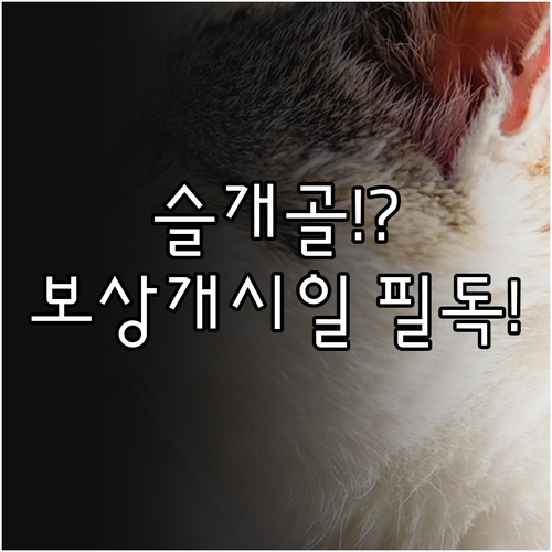 고액 의료비 대비 NH농협 펫보험 슬..