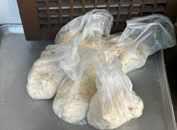 콩비지-서비스
