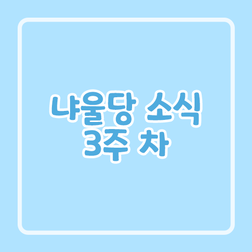 냐울당 소식 3주 차