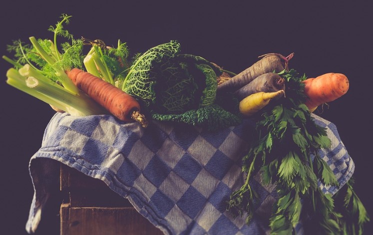 무, 콩나물, 고사리 등 나물류가 소화에 좋다