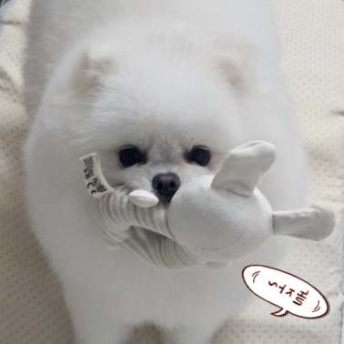강아지-호흡