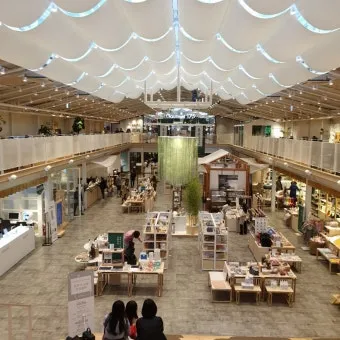 용인 가볼만한곳 추천 맛집 카페 봄 숨은 명소_20