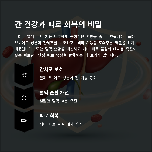 보리수 열매의 놀라운 효능과 효과, 제대로 알아보기