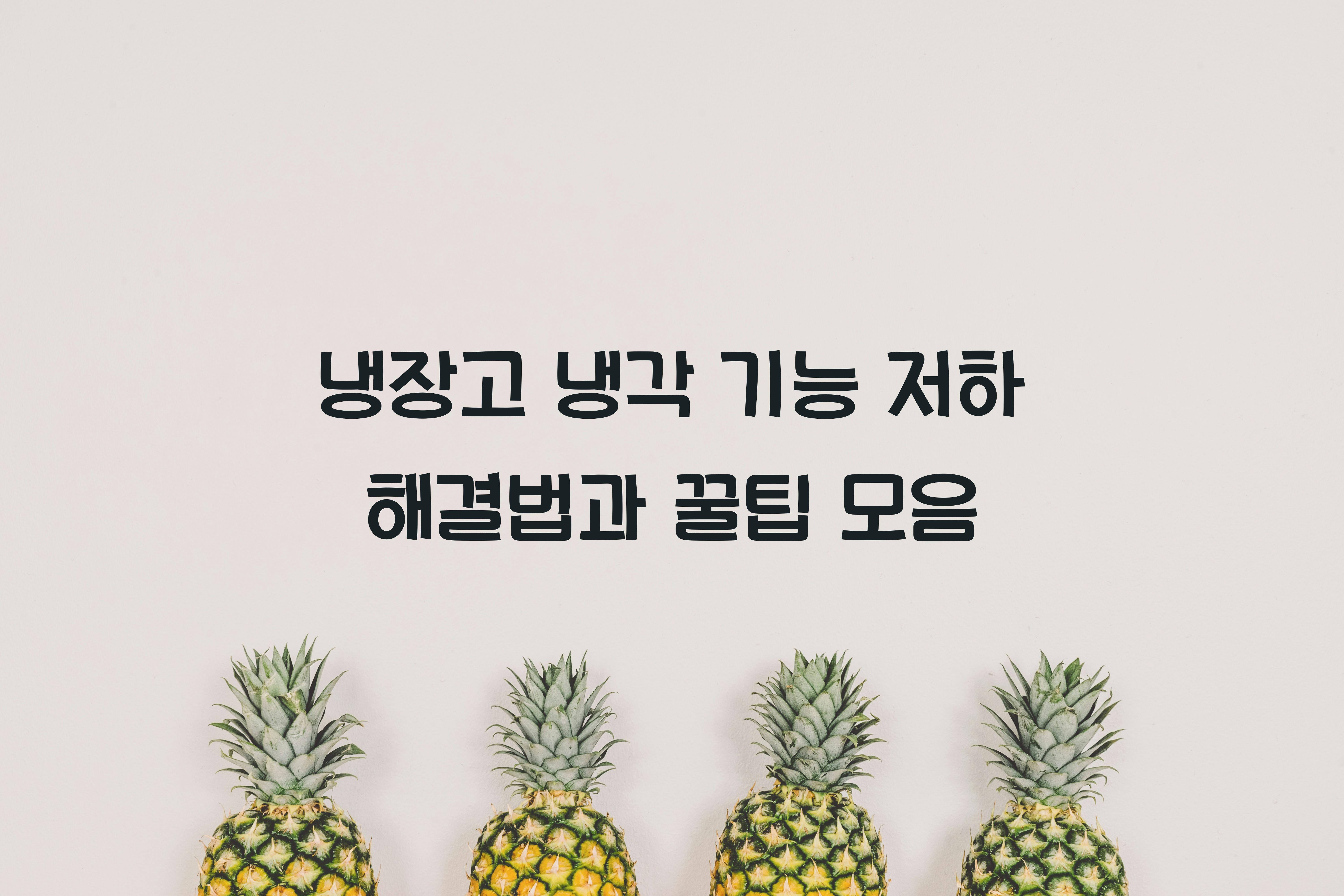 냉장고 냉각 기능 저하 해결법