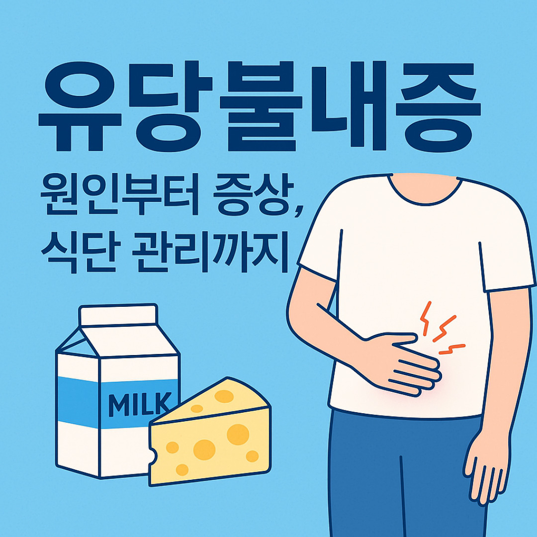 유당불내증 원인부터 증상, 식단 관리까지 라고 적힌 썸네일 이미지