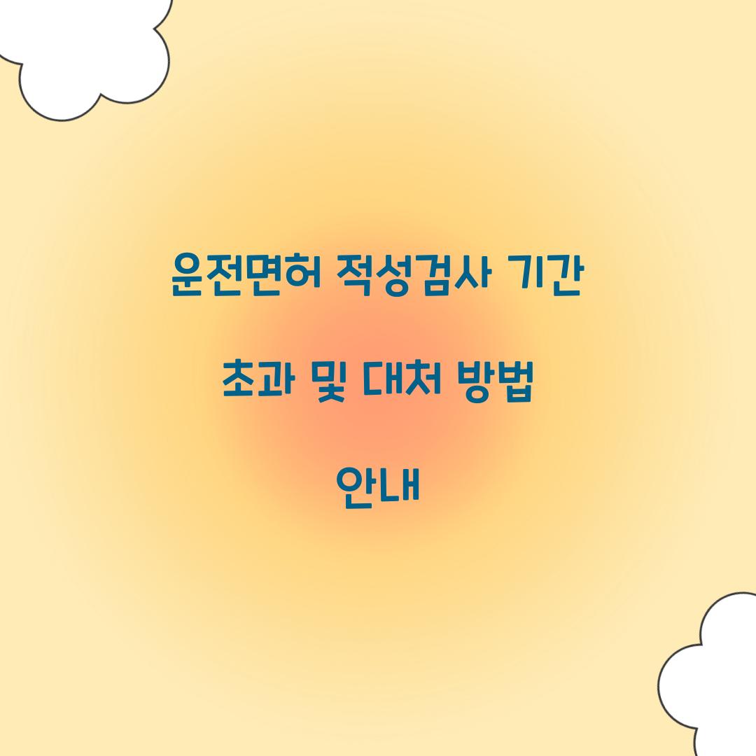 운전면허 적성검사 기간 초과