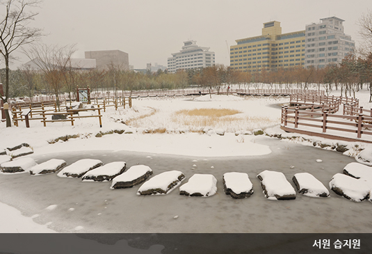 대전 한밭수목원 꽃구경