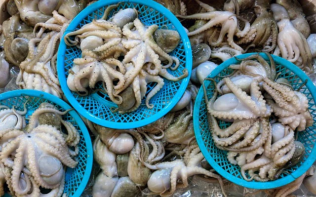 제철생선
