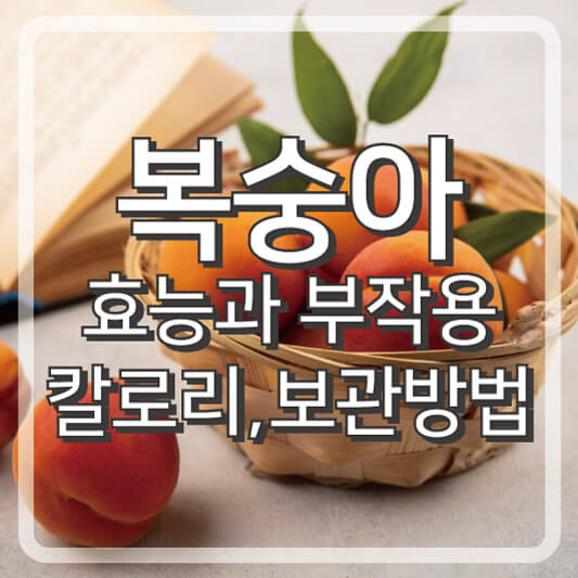 복숭아 칼로리와 보관방법 효능과 부작용