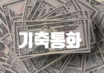 어려운 환테크: 달러인덱스&amp;#44; 빅맥지수&amp;#44; 기축통화 세븐스필릿 투자법 