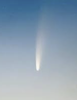 ENFP 유형 특징 분석