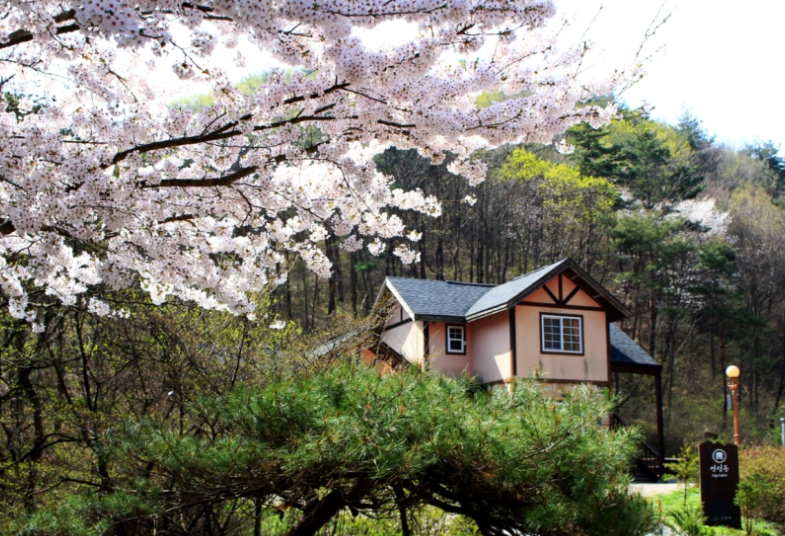 국립자연휴양림