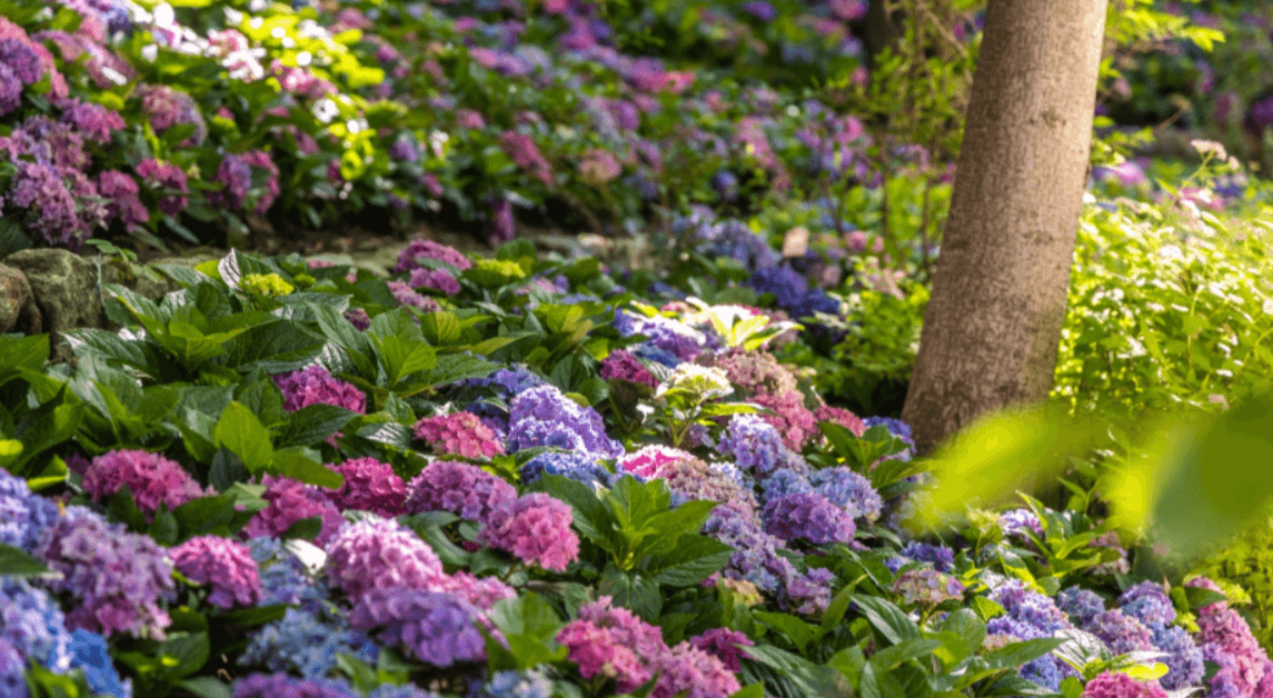 인천&amp;#44; 경기 7월&amp;#44;8월 축제 가볼만한 곳