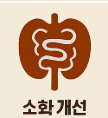 석류 효능