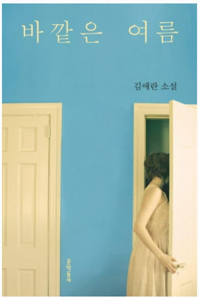 김애란 작가의 바깥은 여름