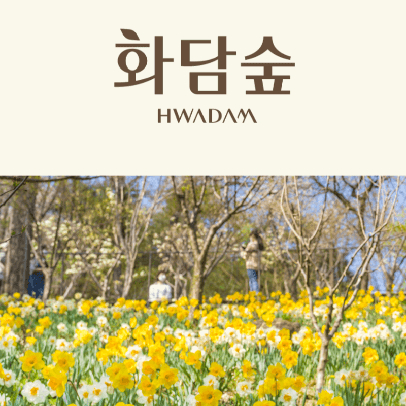 화담숲 예약하기ㅣ예약 성공률 높이는 방법