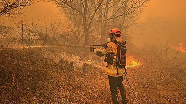 산불 진화 모습