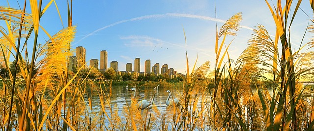 힐링되는 애니 사진