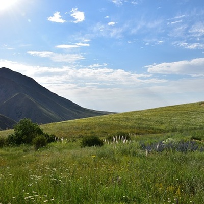 토지이용계획확인원 무료열람