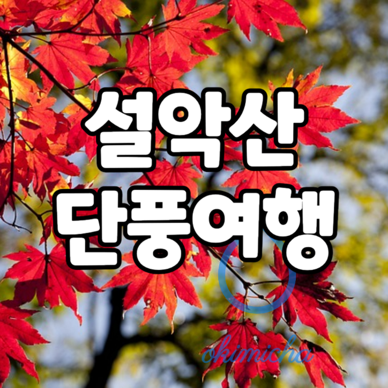 설악산_단풍여행_총정리