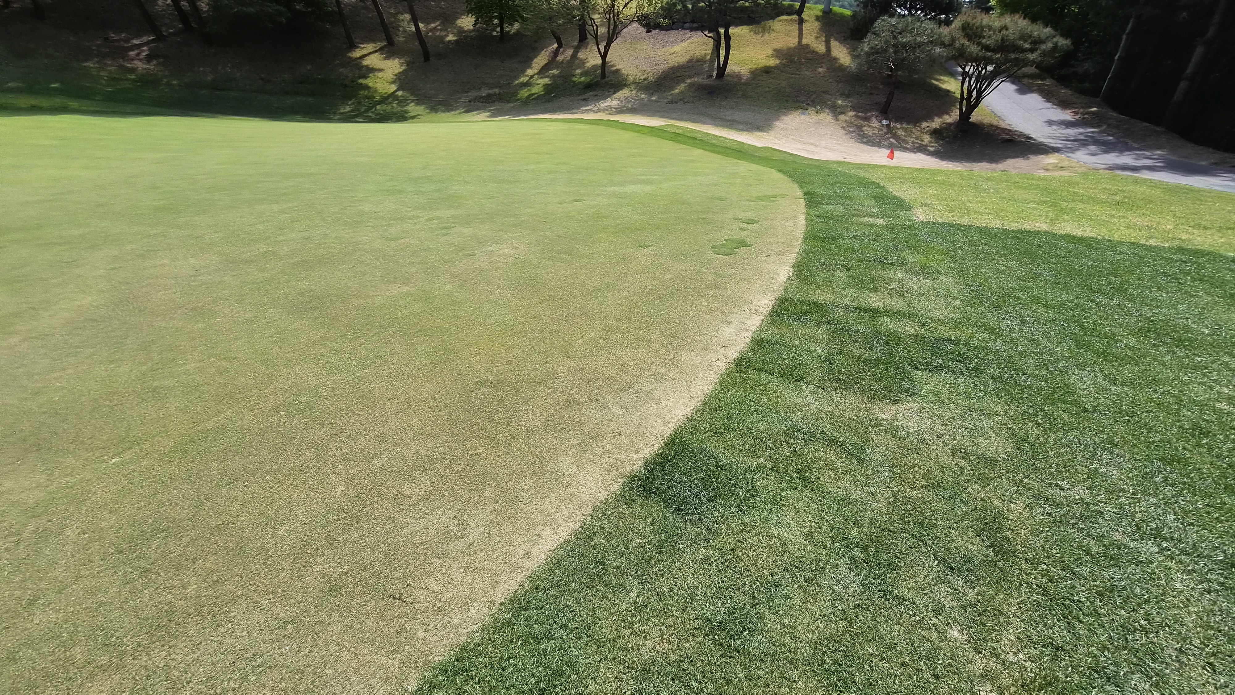 포웰cc 프린세스 라운드 후기