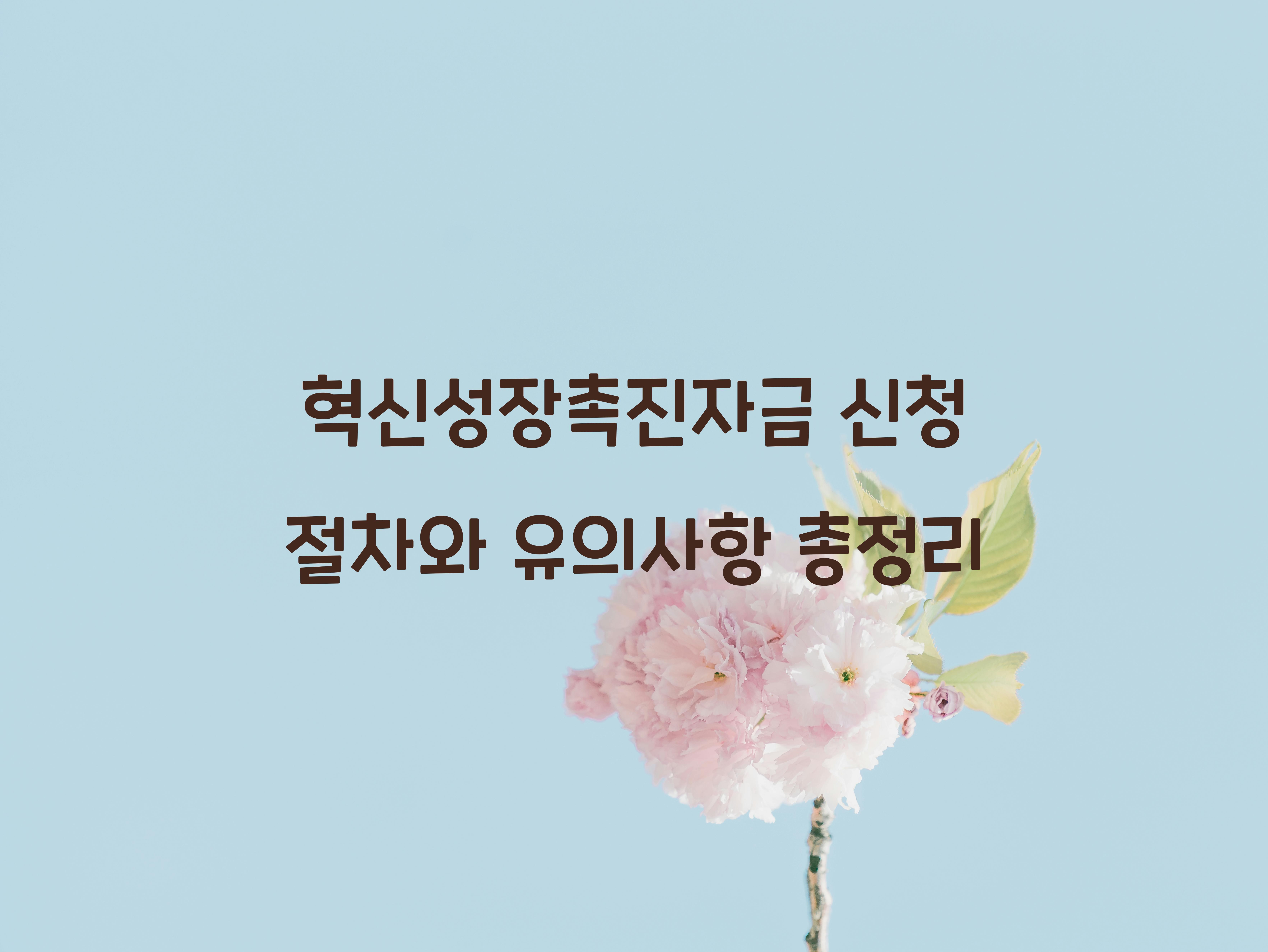 혁신성장촉진자금