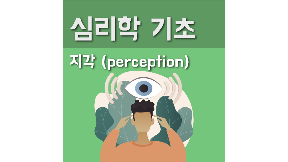 심리학 기초 - 지각