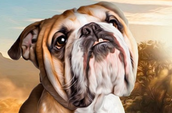 포토샵 체험판 무료 다운 방법 (2024년 11월) 1