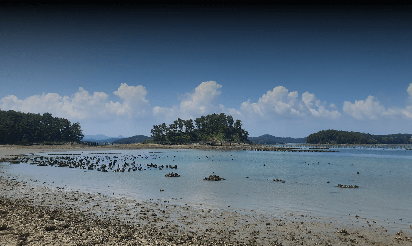 토끼와 거북이 트레킹 갯벌 체험 비토섬 별주부전 판소리 수궁과 체험