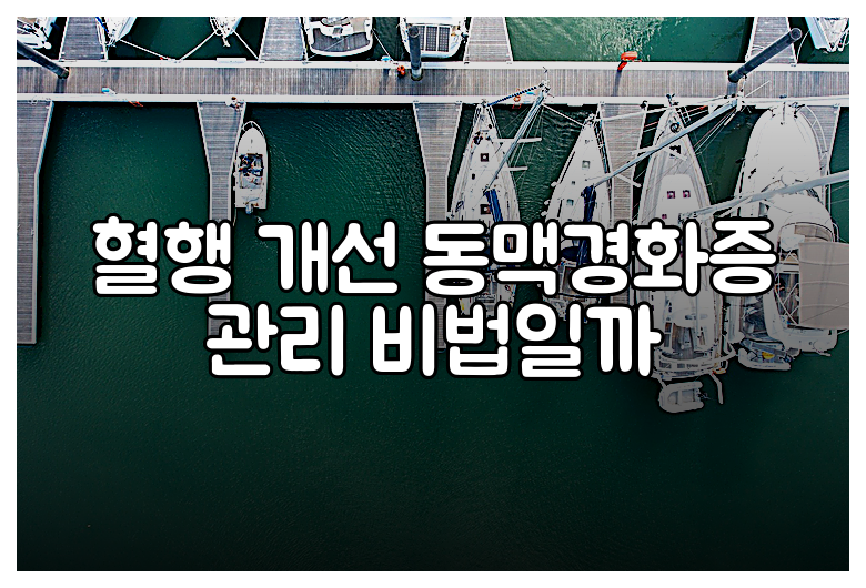 혈행 개선 동맥경화증 관리 비법일까