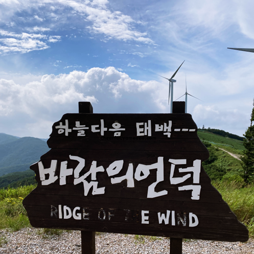 태백 가볼만한곳