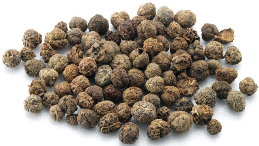 야생에서 채취를 한 축사, 즉 사인을 깨끗하게 세척한 후에 건조시킨 것을 하얀 바닥 위에 수북하게 놓아두고 찍은 사진