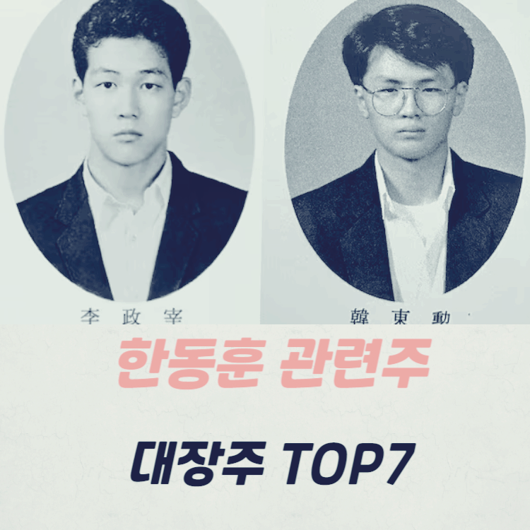 한동훈 관련주 대장주 테마주 TOP7 : 이정재