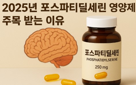 포스파티딜세린 영양제 사진