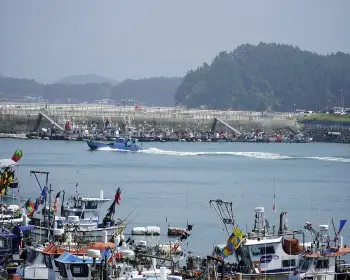 서천 홍원항 자연산 전어 꽃게 축제_9