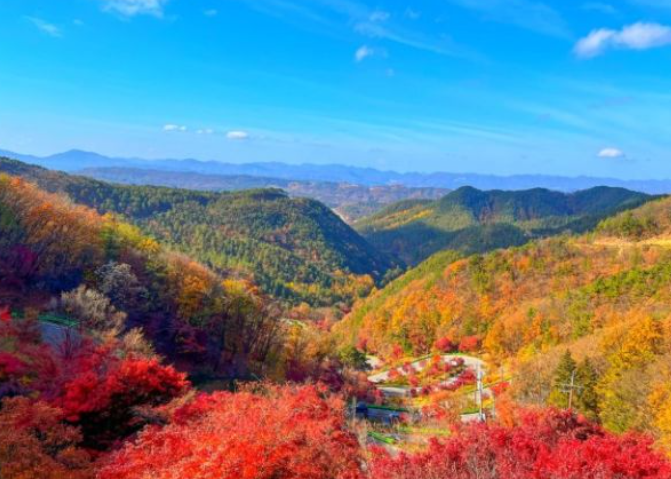 2025 속리산 단풍 절정시기 & 등산지도 ❘ 추천 등산코스 최신 업데이트