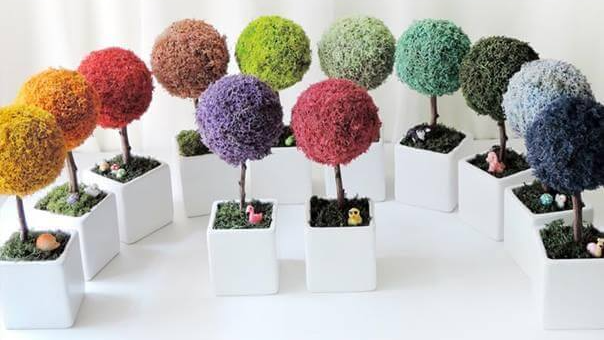 봄철 미세먼지 제거 공기정화 식물 이끼 실내 정화 효과 필요성