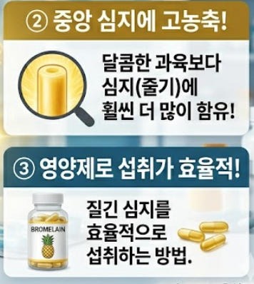 브로멜라인 효능