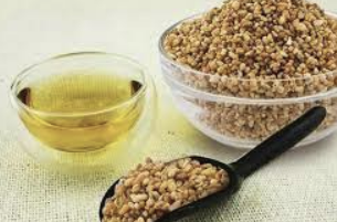 메밀차 효능 부작용 만드는법 먹는방법 총정리(2024 최신)