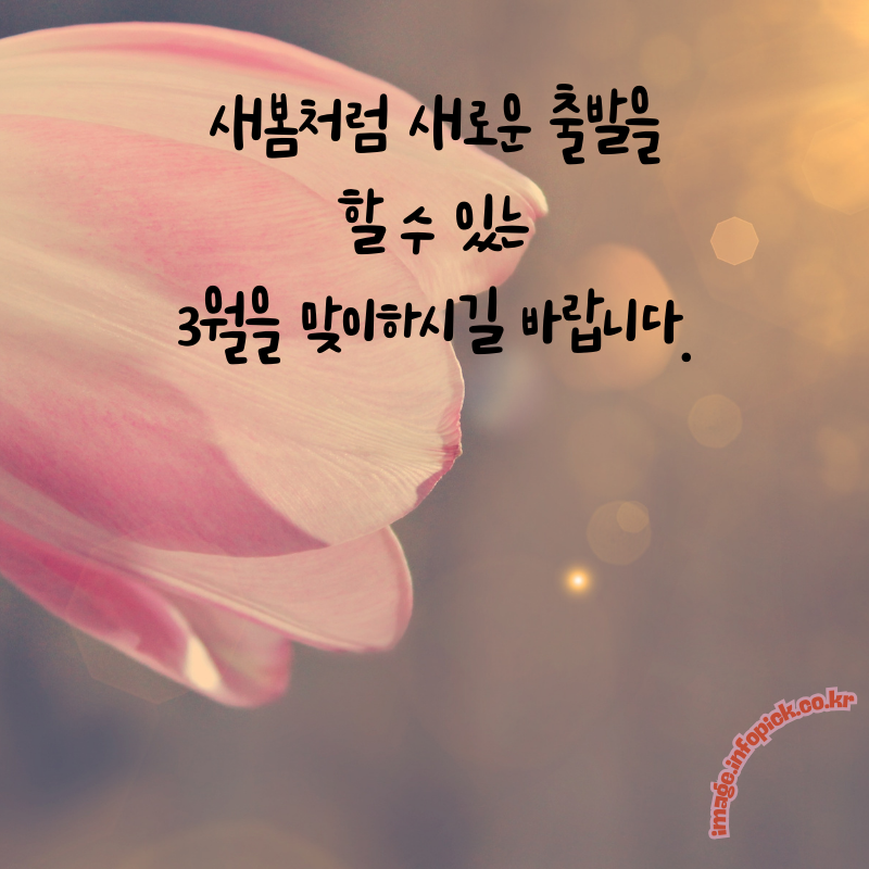 3월 인사말 문구 이미지 모음집3월 인사말 문구 이미지 모음집